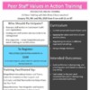 Jan 2020- Peer Support Values in Action