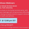 Webinar: Mental Health in the Human Services Sector