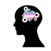 Webinar - Trans care for mental health practitioners: Introduction and working with trans and gender non-conforming patients in a clinical setting