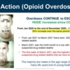 Call to Action Opioid Overdoses-Betty-Lou Kristy