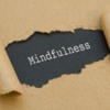 Webinar -  Applied Mindfulness: Exploring the practical application of mindfulness in health-care and clinical settings