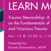 Trauma Stewardship: A Workshop on the Fundamentals of Trauma and Vicarious Trauma