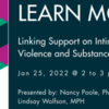 Linking Support on Intimate Partner Violence and Substance Use