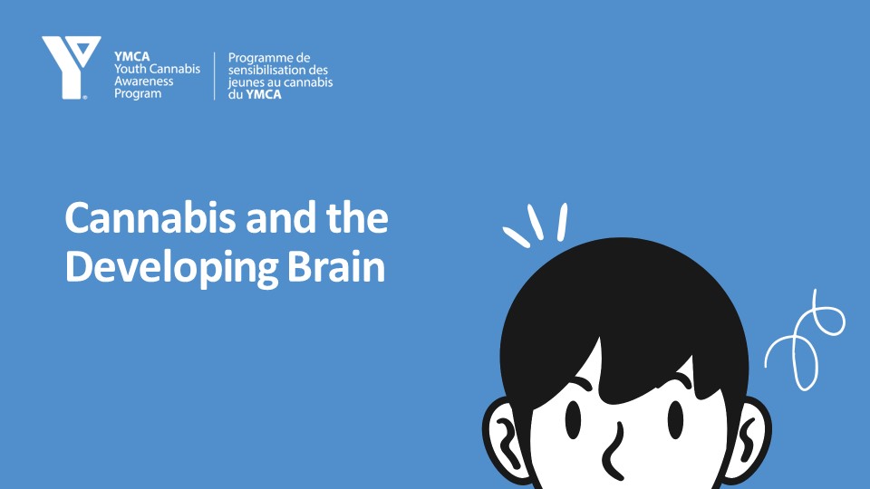 Cannabis &amp; The Developing Brain