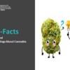 Canna-Facts Title Slide