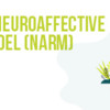 Free Webinar: Trauma &amp; the NeuroAffective Relational Model (NARM)