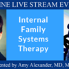 Internal Family Systems (IFS) Therapy: An Introduction: ONLINE LIVE STREAM EVENT