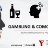 FREE Virtual YMCA Youth Gambling Awareness Program Webinar
